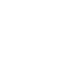 Baterías Camel