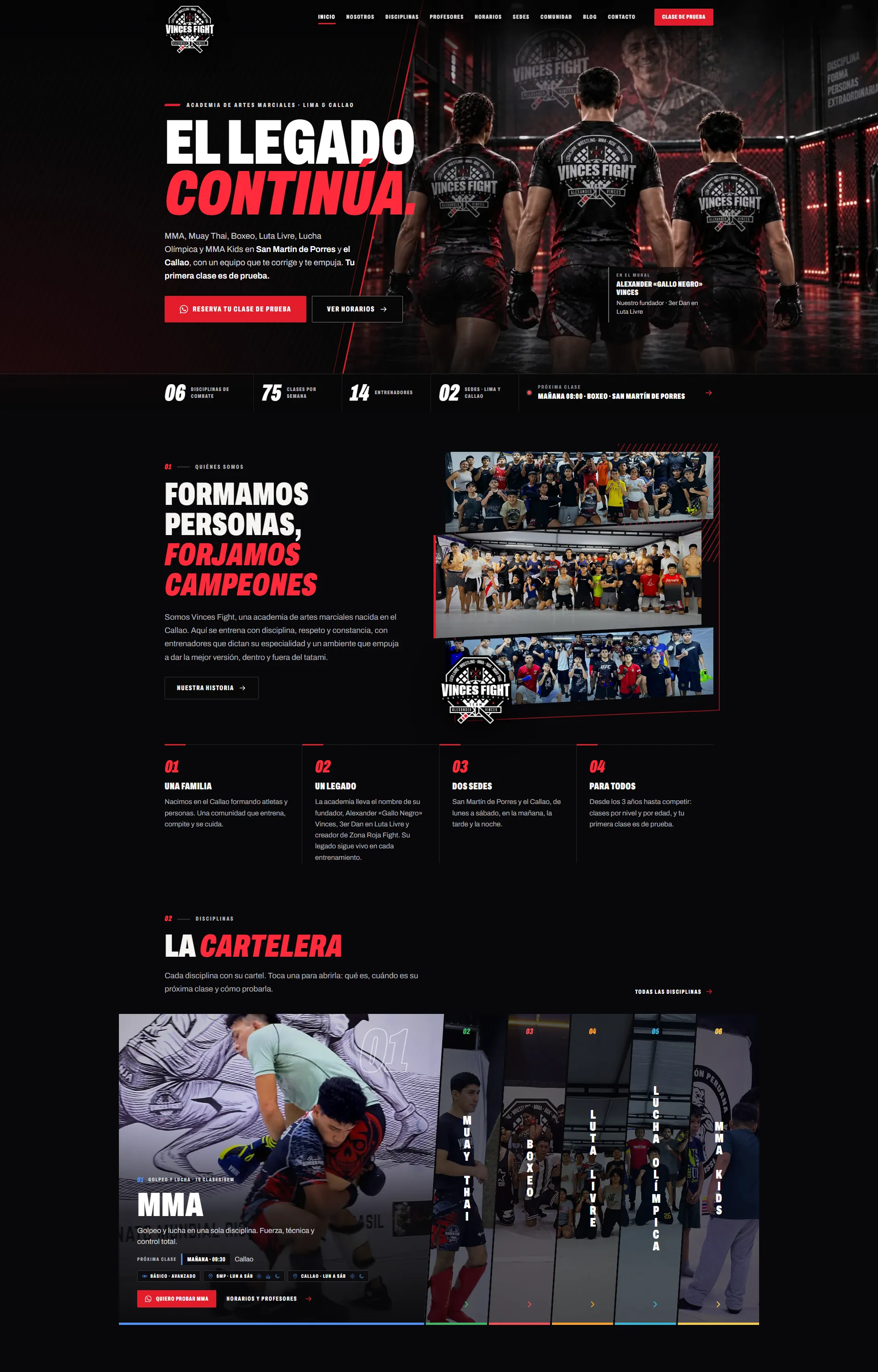 Vinces Fight — Academia de artes marciales